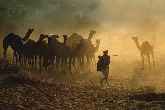 Exclusive: Guided Pushkar Day Trip from Jaipur - How the Experience Adds Value