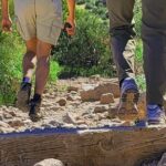 Exclusive: Happy Cactus Tour to Apache Trail & Superstition Mtn - Who Should Consider This Tour?