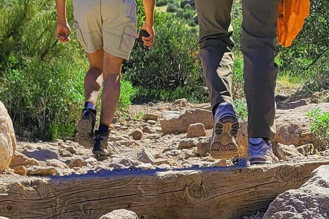 Exclusive: Happy Cactus Tour to Apache Trail & Superstition Mtn - Who Should Consider This Tour?