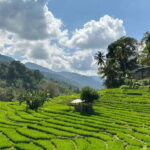 Exclusive knuckles Camping Tour from kandy - An In-Depth Look at the Knuckles Camping Tour