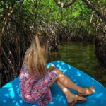 Exclusive Madu River Safari & Turtle Farm Tour from Colombo - A Deep Dive into the Madu River Safari & Turtle Farm Tour