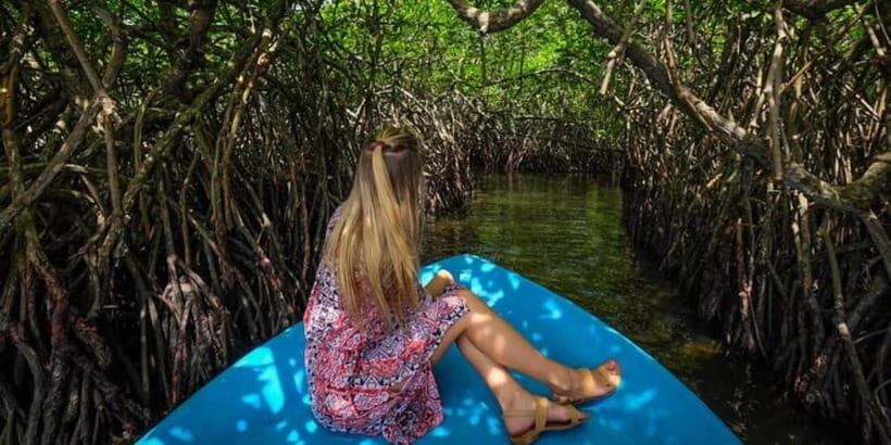 Exclusive Madu River Safari & Turtle Farm Tour from Colombo - A Deep Dive into the Madu River Safari & Turtle Farm Tour