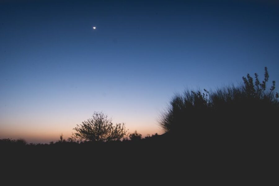 Exclusive Musical Evening at Desert Luxury Camp (NO CAMEL) - In-Depth Review: What Makes This Tour Stand Out