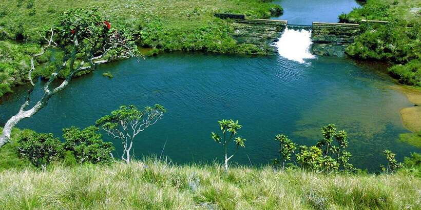 Exclusive Nuawara Eliya: Horton Plains and Tea Factory Tour - Considering the Cost and Practicalities