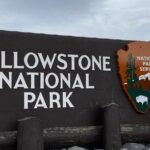 Exclusive Private Yellowstone Adventure: Explore The Lower Loop - The Benefits of a Guided, Private Tour