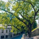 Exclusive Quebec Private Garrison Club Garden BBQ Luncheon - FAQ