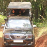 Exclusive : Wildlife Full Day Adventure in Wilpattu - Arrival at Wilpattu National Park