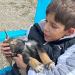 Exclusive Yukon Full-Day Tour with Dog Mushing Adventure - Frequently Asked Questions