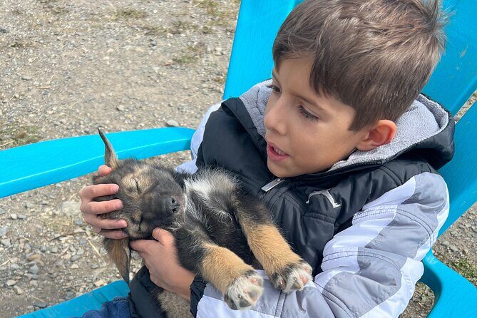 Exclusive Yukon Full-Day Tour with Dog Mushing Adventure - Frequently Asked Questions