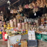 (Excursion) Day tour in Manila - Why Choose This Tour?