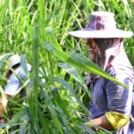 Experience Elephant Sanctuary + Sticky Waterfall - The Sum Up