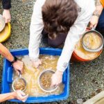 Experience Mining For Genuine Montana Sapphires in Seattle - FAQ: Frequently Asked Questions