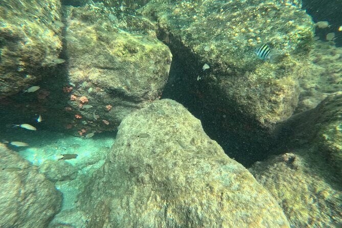 Experience Peanut Island Adventures with Go Pro - FAQ