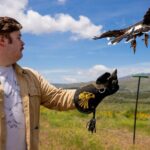 Experience Raptors and Falconry in Reno - The Sum Up: Is It Worth It?