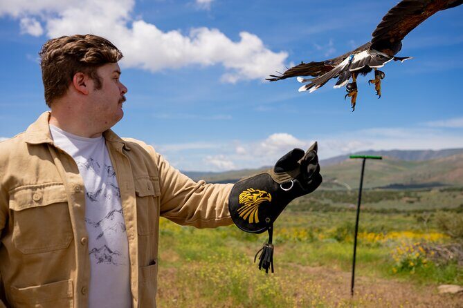 Experience Raptors and Falconry in Reno - The Sum Up: Is It Worth It?