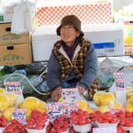 Experience the energy of Kochi: Sunday Market Tour includes Kochi Castle - Practical Details and What to Expect