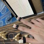 Experience the Soul of Hiroshima: A Peaceful Koto Workshop - An In-Depth Look at the Hiroshima Koto Workshop