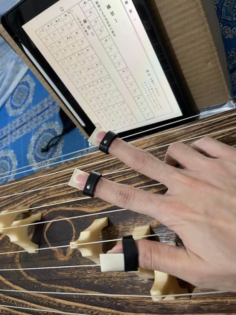 Experience the Soul of Hiroshima: A Peaceful Koto Workshop - An In-Depth Look at the Hiroshima Koto Workshop