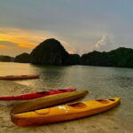 Experience the Sunset and Plankton Bioluminescent Night Kayak - Who Will Love This Tour?