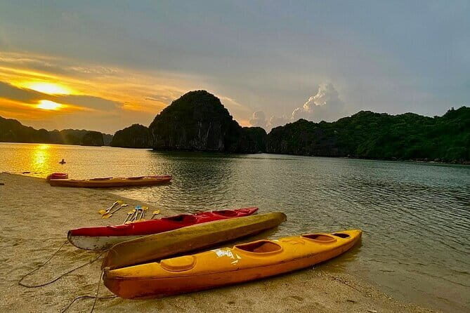 Experience the Sunset and Plankton Bioluminescent Night Kayak - Who Will Love This Tour?