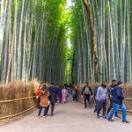 Explore Arashiyama Bamboo Forest with Authentic Zen Experience - Who Will Love This Tour?