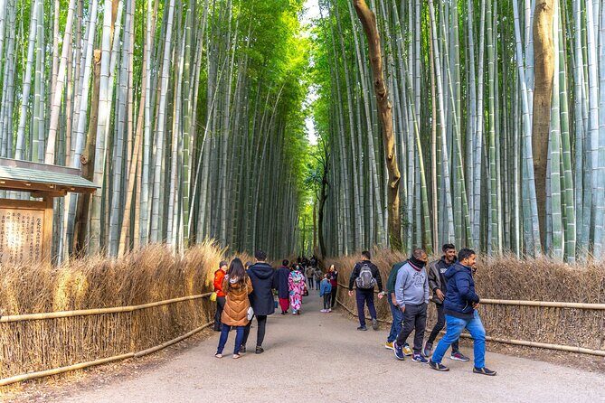 Explore Arashiyama Bamboo Forest with Authentic Zen Experience - Who Will Love This Tour?