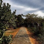 Explore beautiful trincomalee with a tour guide - A Detailed Breakdown of the Itinerary