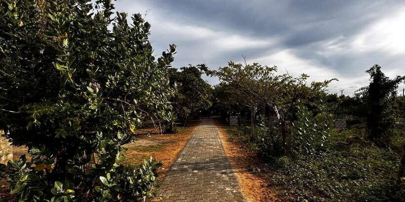 Explore beautiful trincomalee with a tour guide - A Detailed Breakdown of the Itinerary