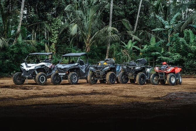 Explore Gorilla Cave by ATV in Ubud - Monkey Forest and Waterfall - What Makes This Tour Stand Out?