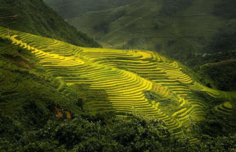 EXPLORE HA GIANG- MA PI LENG - NHO QUE RIVER 3 DAYS 2 NIGHTS - What Makes This Tour a Great Choice?
