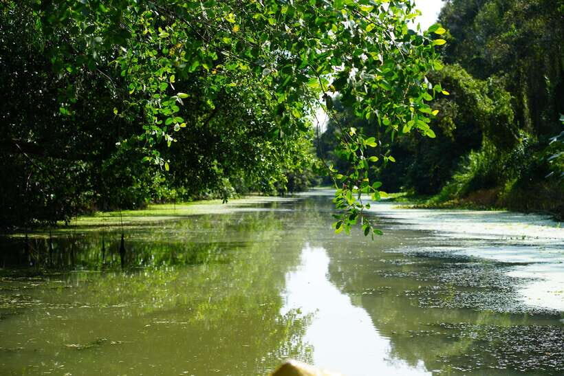 Explore Lung Ngoc Hoang in Hau Giang - What Makes This Tour Stand Out