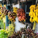 Explore Madurai's Rich Culture: Private Car & Guided Tour - Final Thoughts