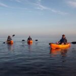 Explore Mangrove Creeks with an All Day SUP/single kayak Rental - The Practicalities