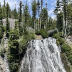 Explore Mt. Rainier National Park with a Local Guide - A Deep Dive into the Mt. Rainier Experience