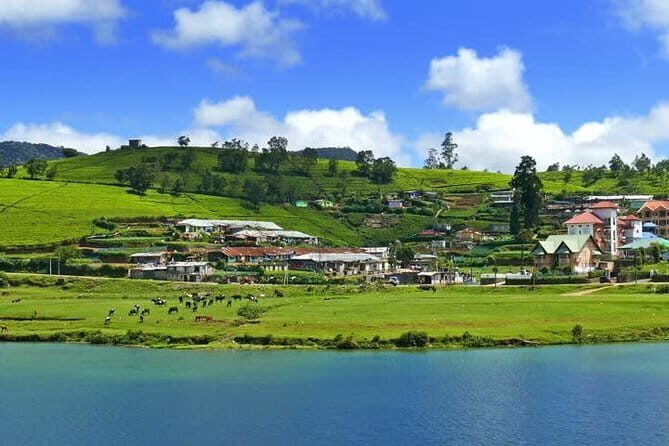 Explore Nuwara Eliya - Waterfall & Tea Factory Tour - The Sum Up