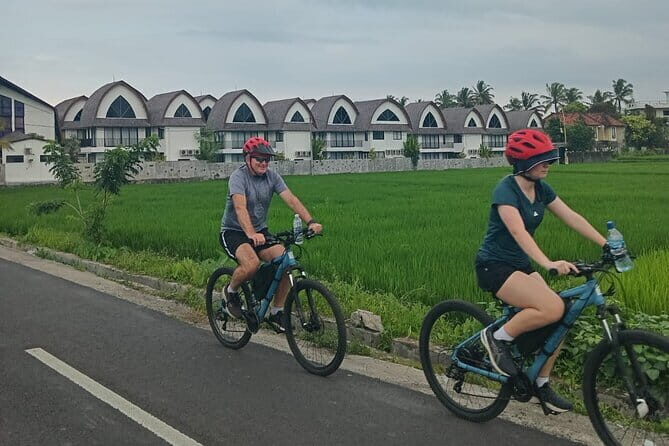 Explore Rice Fields and Hidden Villages with Ubud E-Bike Tour - Itinerary Breakdown: What Youll See and Experience