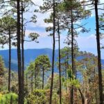 Explore Sierra Norte, Half-Day Hiking Adventure - Final Thoughts