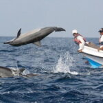 Explore Sri Lanka in 5 Days with Breakfast and Luxury Car - What Makes This Tour Stand Out?