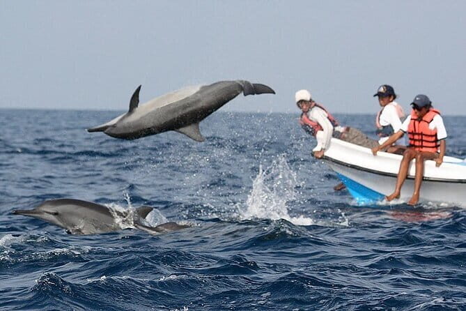 Explore Sri Lanka in 5 Days with Breakfast and Luxury Car - What Makes This Tour Stand Out?