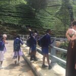 Explore Srilanka in 9 Nights 10 Days - The Sum Up: Who Should Consider This Tour?