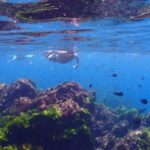 Explore Surin Islands: Ultimate Snorkeling Day Trip from Phuket - What’s Included and What’s Not