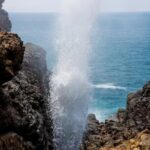 Explore Tangalle's History and Nature Private Shore Excursion - Closing Thoughts