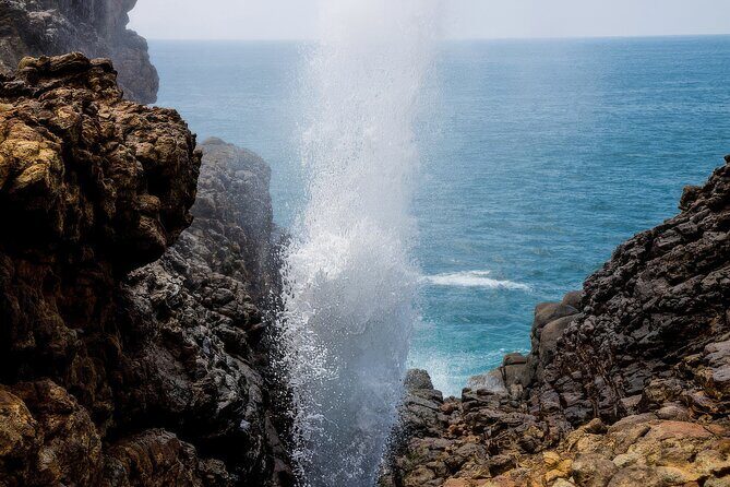 Explore Tangalle's History and Nature Private Shore Excursion - Closing Thoughts