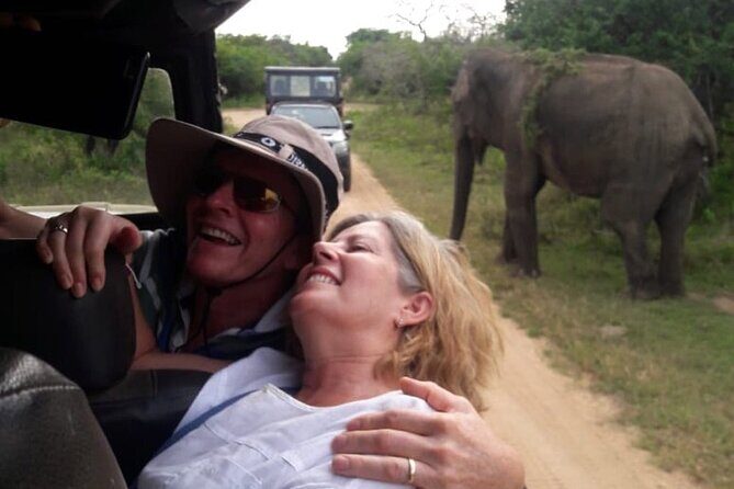 Explore The Beauty Of Udawalawe National Park From South Coast During 01 Day