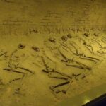 Explore the Grand National Museum of Anthropology - Who Should Consider This Tour?