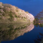 Explore the Historic Castle Town of Hikone from Osaka - Who Is This Tour Best For?