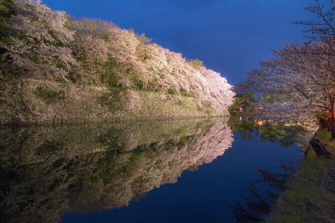 Explore the Historic Castle Town of Hikone from Osaka - Who Is This Tour Best For?
