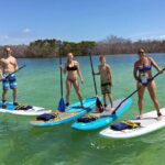 Explore the Mangrove Creeks with an ALL Day Tandem Kayak Rental - A Detailed Look at the Kayak Experience in Key Largo