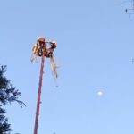 Explore the Underworld at the National Museum of Anthropology - Authentic Insights from Other Travelers