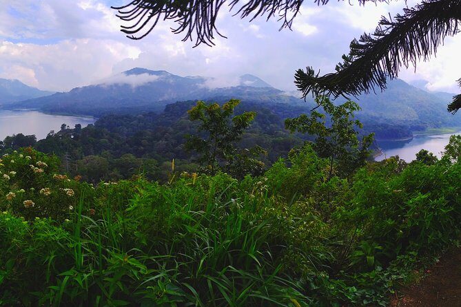 Explore Twin Lake Jungle Trekking and Canoeing - Who Would Love This Tour?